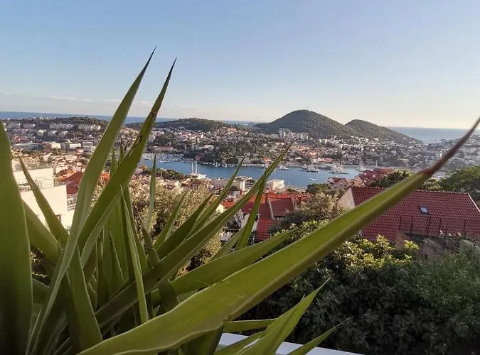 Ivana * 杜布罗夫尼克